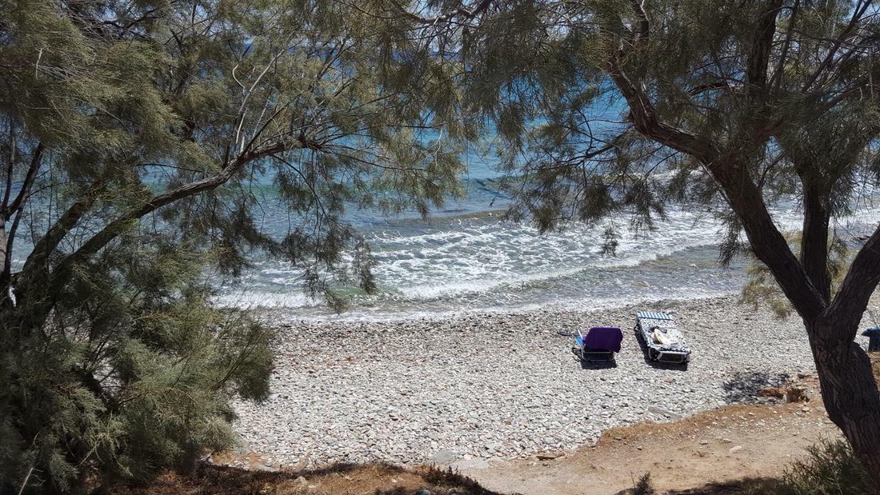 Flora'S Beach And Pool Villa In Syros Liaropá エクステリア 写真