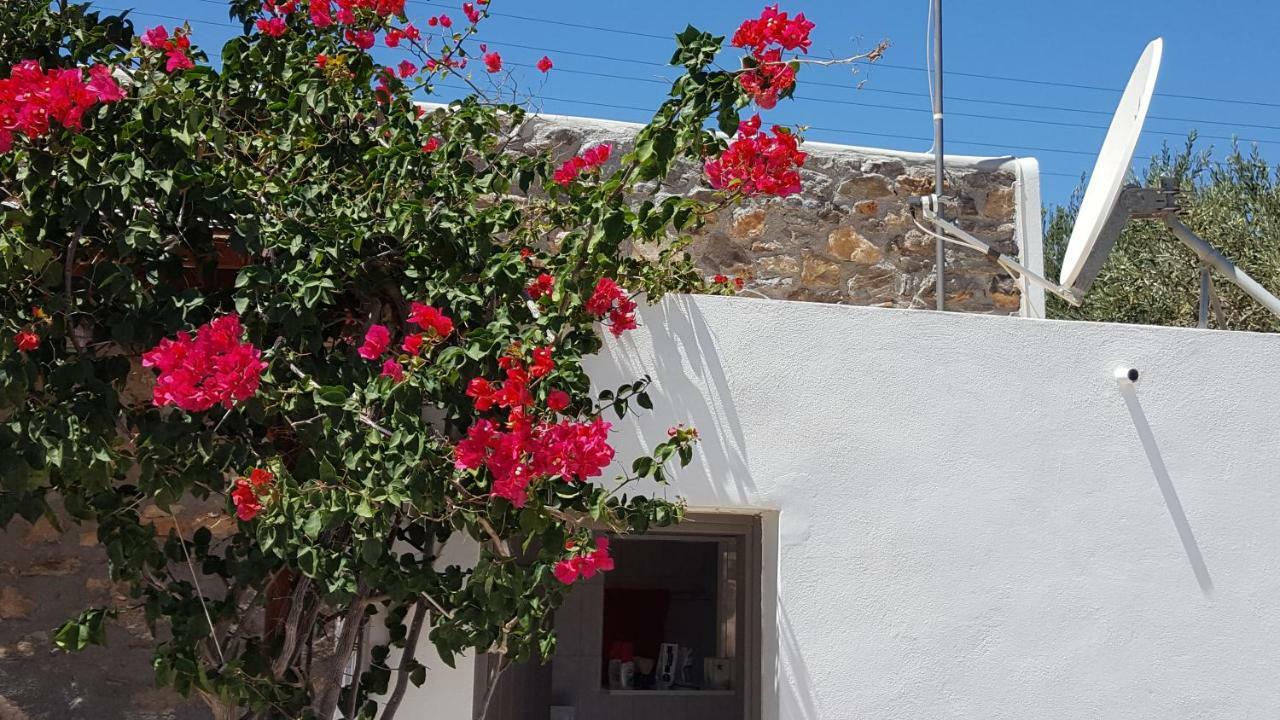 Flora'S Beach And Pool Villa In Syros Liaropá エクステリア 写真
